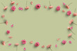 gruppo di fiori di ciliegio sullo sfondo colorato ,con petali  e foglie
