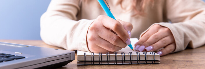 Wall Mural - woman working in notepad and computer