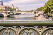 Beautiful, decorative iron railing in Paris, France in focus, with a view of the Seine River blurred beyond.