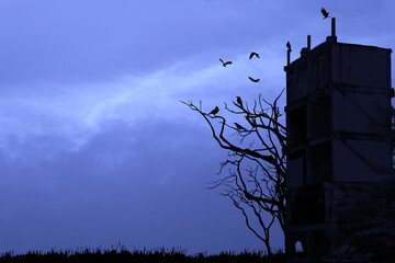 Wall Mural - Silhouette of abandoned building and leafless tree with flock of crows in full moon atmosphere.