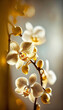 Closeup beautiful orchid flower with gold color, wallpaper background.	