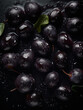 © Regina - jabuticaba bunch