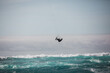 © corneliu - kite surfing on the atlantic ocean