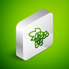 Sticker - Isometric line Branch viburnum or guelder rose icon isolated on green background. Healthful viburnum fruit bunch for natural vitamin. Silver square button. Vector