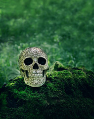 decorative human skull on mossy trunk, natural abstract forest background. magic esoteric ritual. Mysticism, divination, wicca, occultism, Witchcraft concept. template for design