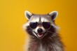 background glasses pet show animal party young music portrait fun raccoon. Generative AI.