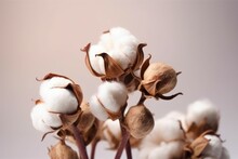 Bouquet Of Cotton Gift. Generate Ai