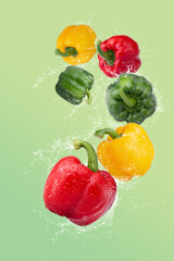 Wall Mural - Red Bell Pepper Green Bell Pepper and Yellow Bell Pepper on a Green background