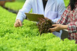 © Prathankarnpap - Cropped shot of scientist holding clipboard examining plants in industrial greenhouse