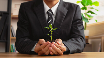 Wall Mural - Businessmen hands holding tree for sustainable development goals. World Earth Day. company or businesses and corporations that care about the environment and ecosystem in greenery company.