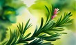 A sprig of rosemary painted with watercolor, illustration, painting, poster. AI generated.