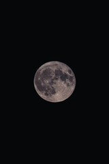 Wall Mural - full moon glowing in the dark sky