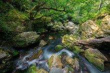 A Stream Runs Through A Narrow Gorge Of Granite Rocks