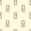 Hand drawn vector pattern with insects . Vector collection. Detailed realistic sketches. Ink, pen, linework.