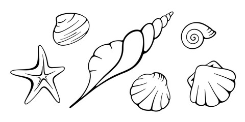 Wall Mural - seashells and starfish collection. hand drawn doodle black elements on white background. best for se