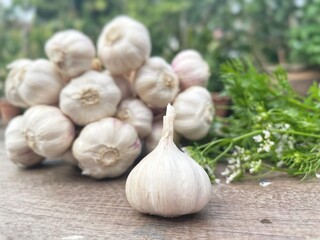 Wall Mural - Garlic on brown wood background