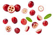 fresh cranberries collection with green leaves isolated on white background.