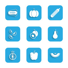 Poster - Set Plum fruit, Apple, Melon, Pear, Tomato, Fresh cucumber and Cabbage icon. Vector