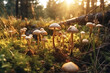group of inedible poisonous toadstool mushrooms in forest on sunny summer day. Generative AI illustration