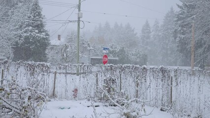 Poster - Winter footage of snowfall on icy park with metal fence and snowy trees in Port Alberni, Canada