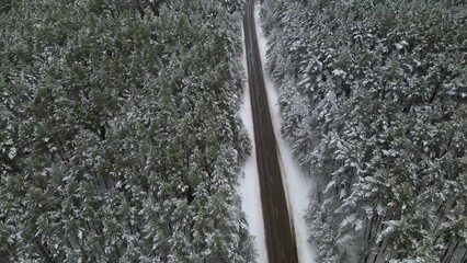 Sticker - Aerial shot of the narrow road surrounded by snow-covered forest trees