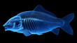3d illustration of the skeleton of a fish