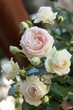 Vertical closeup of beautiful rose flowers in a garden