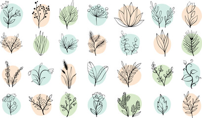 Wall Mural - Vector set sketch hand drawn flowers