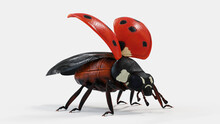 3d Illustration Of A Ladybug