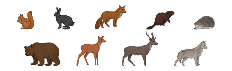 Wall Mural - forest animal and habitant with bunny, squirrel, fox, beaver, deer and hedgehog vector set
