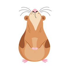 Poster - Cute guinea pig looking up. Funny brown pet rodent cartoon vector illustration