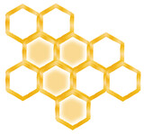 Fototapeta  - honeycomb illustration isolated on white background
