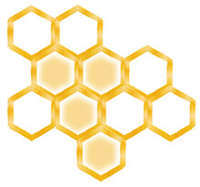 Honeycomb Illustration Isolated On White Background