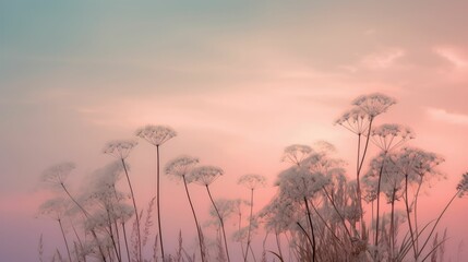 Wall Mural - Soft pink sky with delicate clouds