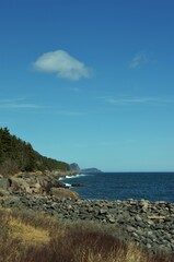 Wall Mural - coast of the atlantic ocean newfoundland