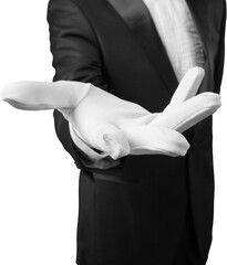 Elegant waiter hand in white glove holding an empty plate