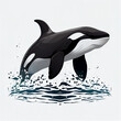 Aus dem Meer springender Orca Killerwal auf weißem Hintergrund.