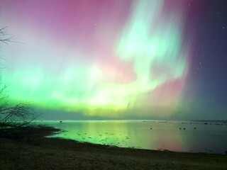 aurora