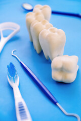 Wall Mural - Dental model and dental equipment on blue background, concept image of dental background. 