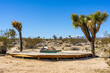 wooden platform desert
