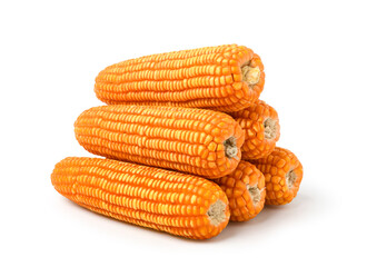 Wall Mural - Dried corn cobs isolated on white background. Clipping path.