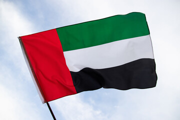 Wall Mural - Waving fabric texture of the flag with color of United Arab Emirates, UAE real texture flag