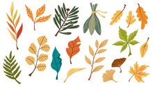 Autumn Leaves Set.  Autumnal Yellow Leaf, Forest Nature Orange Leafage And September Red Leaves. Chestnut, Dog Rose And Viburnum Or Foliage Leaf. Flat Isolated Icons Vector Illustration