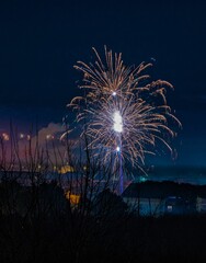 Wall Mural - Vertical shot of fireworks in a foggy night sky. Italy