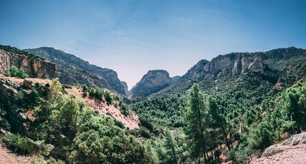 Poster - the mountain is full of trees near the rocky road that goes into the canyon