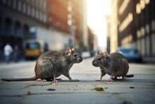 Two Street Rats. Generate Ai
