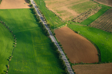 Wall Mural - road among fields, aerial view