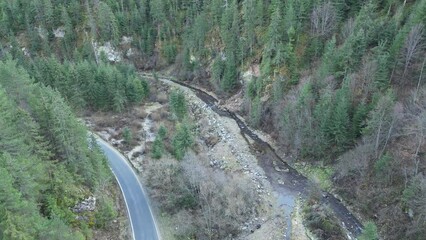 Poster - Top view of a road and a river stream in the middle of forest