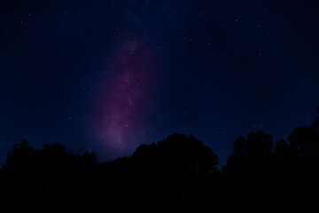 Wall Mural - milky way rising over trees near raeford nc