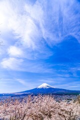 Wall Mural - 富士山と満開の桜